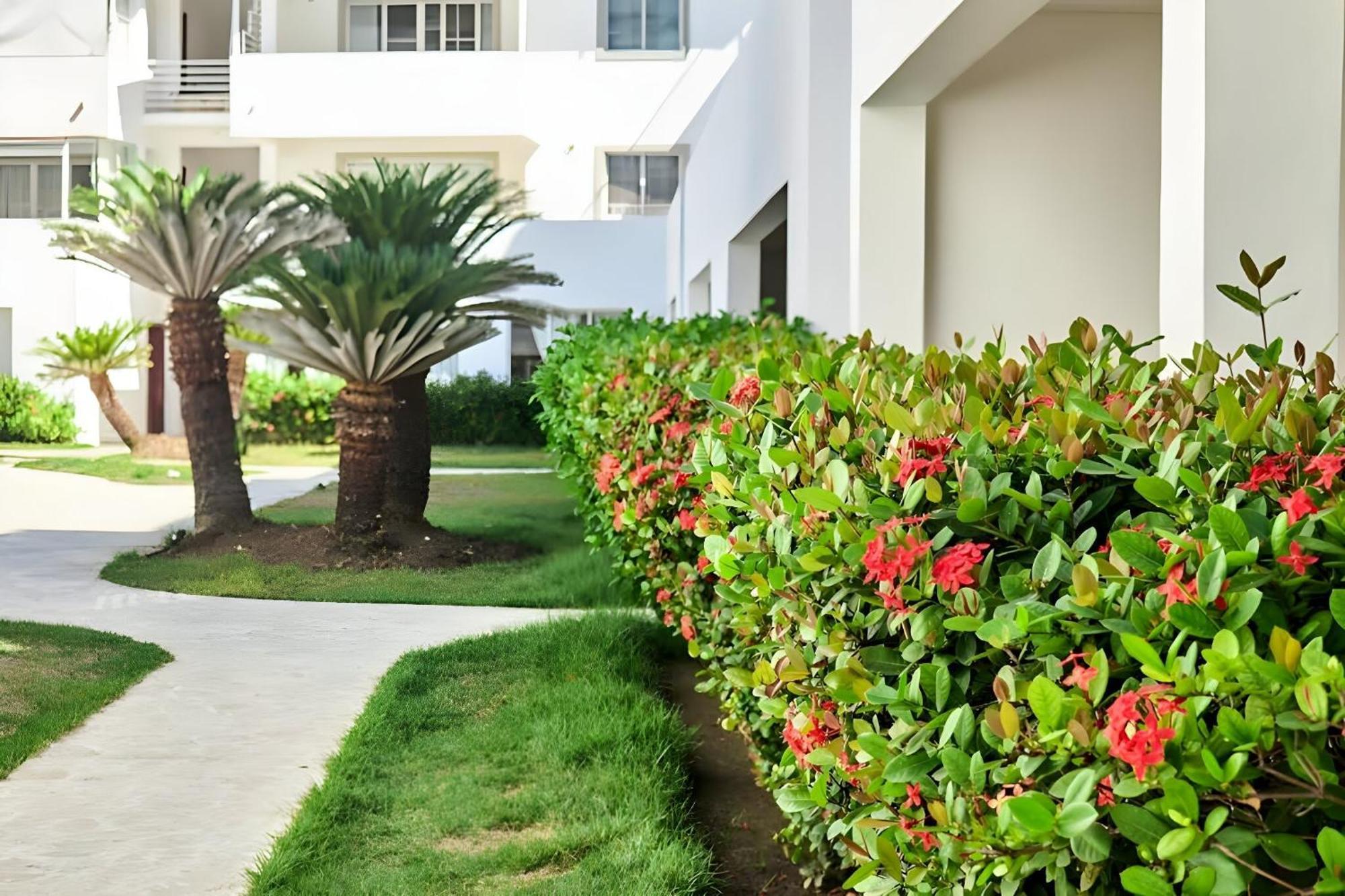 Los Corales Beach Village Punta Cana - The Original Εξωτερικό φωτογραφία